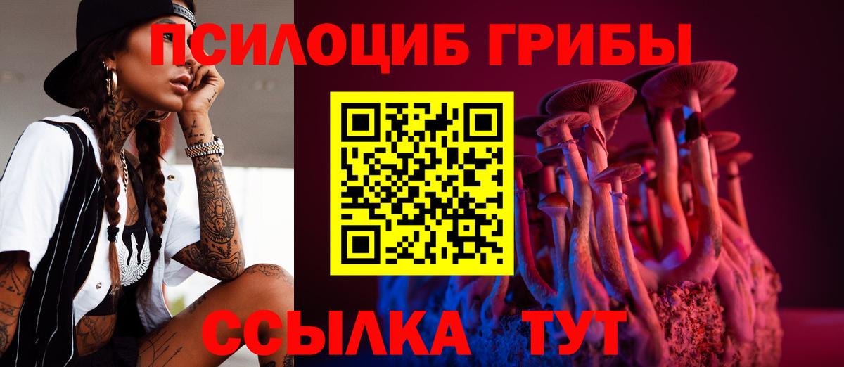 Азов  Псилоцибиновые грибы ЛСД  Псилоцибиновые грибы MAGIC MUSHROOMS  Вход с VPN 